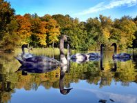 Padersee © Reinhard Rohlf